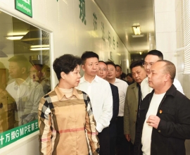 省委常委、副省長張迎春蒞臨張家界茅巖莓有限公司考察調(diào)研